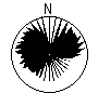 Directional Pattern